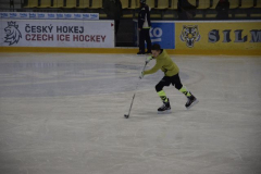 hokej007