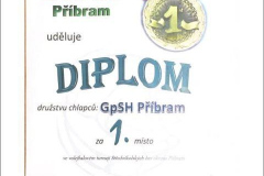 diplom